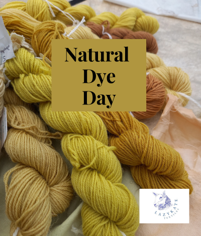 Natural Dye Workshop Liverpool, learn how to dye yarn, foraged dyes
