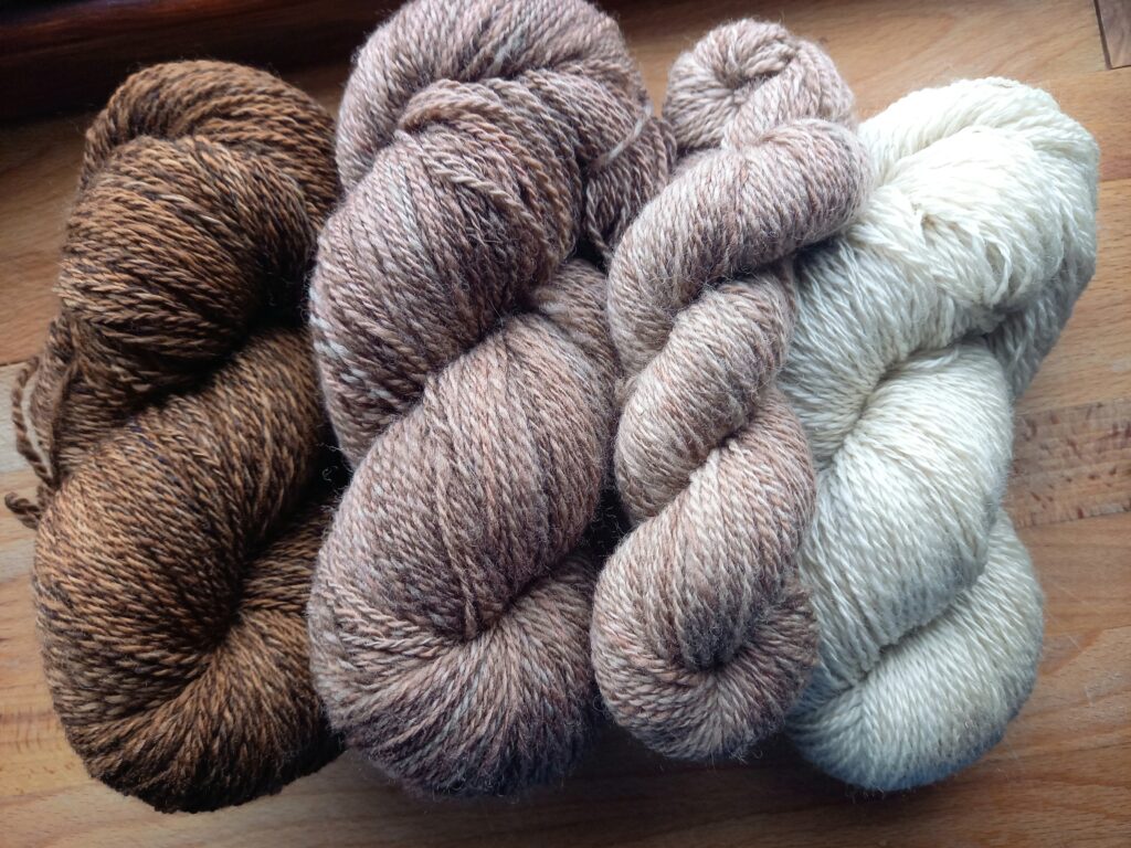 Handspun Gradient Cormo