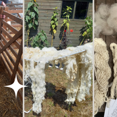 Sheep To Skein workshop, process a fleece in Liverpool